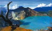 Rebecca Tour - Ijen Crater Tour