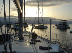 LA Sailing Charter Marina Del Rey