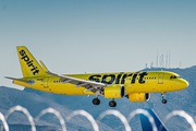 Spirit Airlines Minor: Policy,  Rules,  and Fee - Farezhub