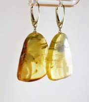 Buy Amber Earrings Online | Amberada.com