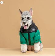 Buy Waterproof Winter Coat for Dog