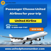 Book Cheap Flight Tickets & Get Low-Cost Deals