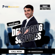 Debugging services in Delhi