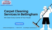Carpet Cleaning Services in Bellingham