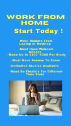 Work From Home Remote