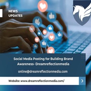 Social Media Posting for Building Brand Awareness- Dreamreflectionmedi
