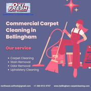 Bellingham's Premier Commercial Carpet Cleaning Services