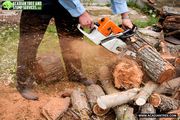 Tree Removal Pearl River | Acadian Tree and Stump Removal Service