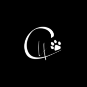 Train Your Canine Companion with Coaching 4 Paws: Effective and Reward