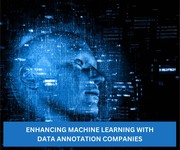 Enhancing Machine Learning with Data Annotation Companies