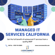 Top Managed IT Services California| Everconnect