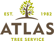 Atlas Tree Service