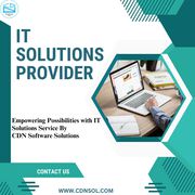  CDN Solutions Can Empower Tech Businesses with Their IT Solutions