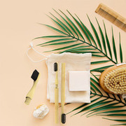 Bamboo Natural Folding Toothbrush with 4 Replaceable Brush Heads and R
