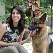 Mastering Pet Training: Comprehensive Guide for Dogs and Cats