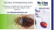 Eliminate Bed Bugs Fast! Expert Exterminator Services in Utah - My Guy