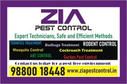  Pest control services 