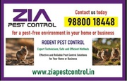  Bed Bug pest Control | Residence and office  |5081