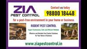 Pest control Services for Apartments Office and Residents