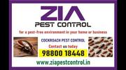 Cockroach pest control | Zia Pest Control 6017