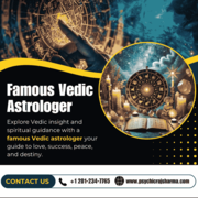 Vedic Astrologer in New Jersey | Best Astrologer in New Jersey