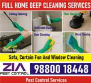 Complete Deep Cleaning – From Floors to Ceilings 