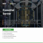 24/7 Essential Server Monitoring – Prevent Downtime & Secure 
